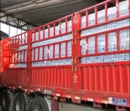 ������Ƶ