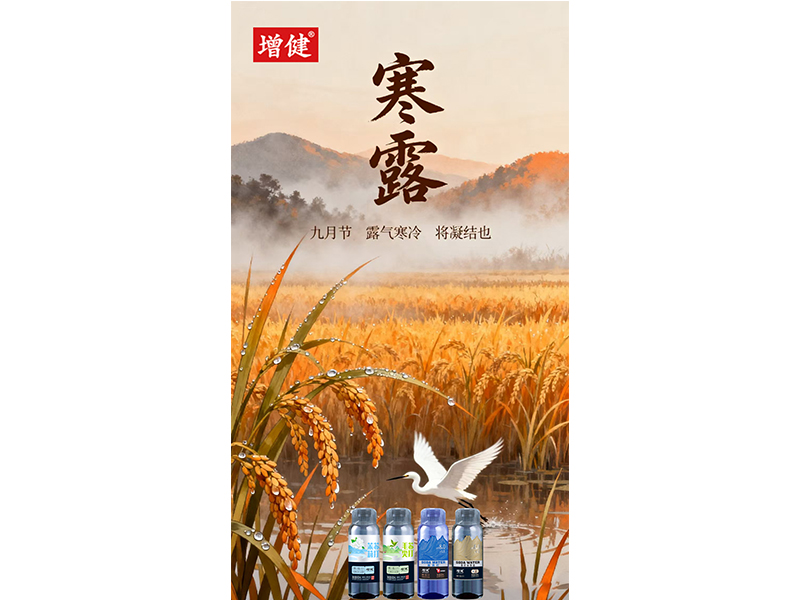 ҹ¶���� �������