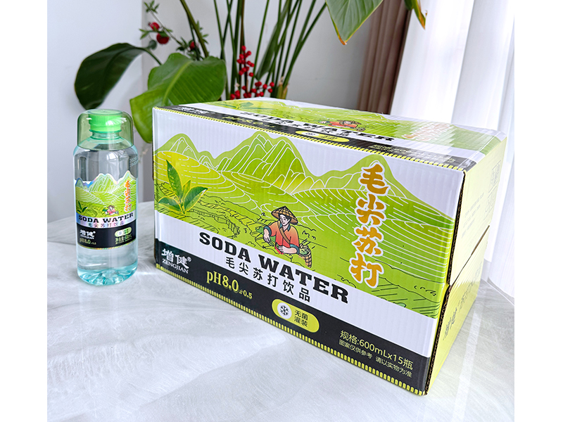 ë���մ�480mlx15